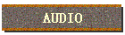 AUDIO