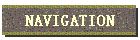 NAVIGATION